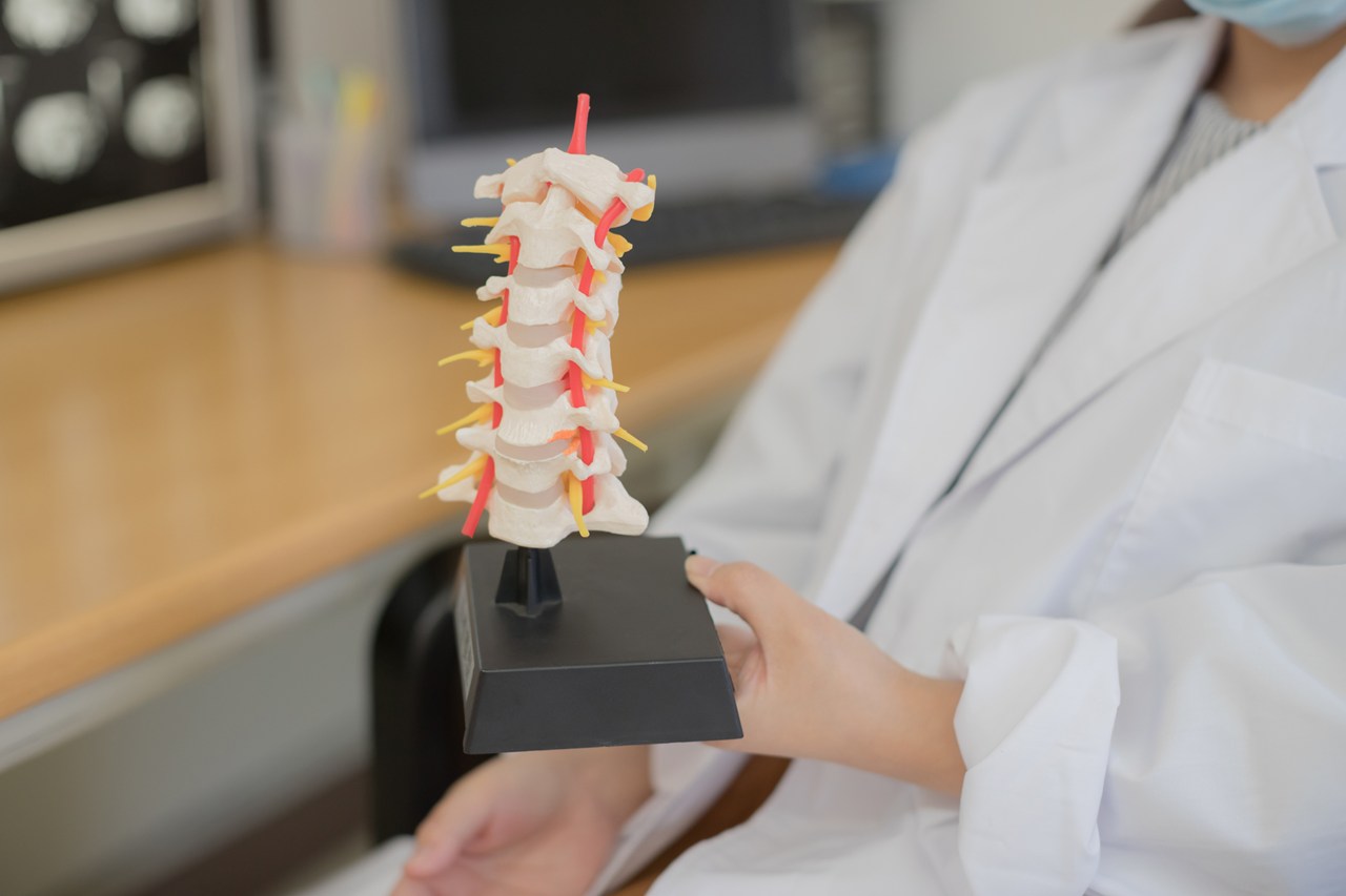 脊椎（せぼね）診療のご案内